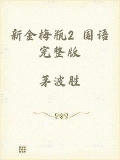 新金梅瓶2 国语完整版